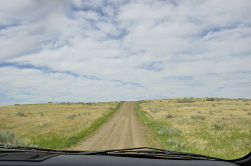 driving through Montana's Makoshika State Park